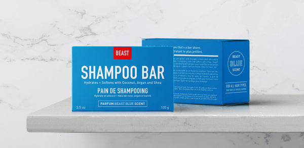 Solid Shampoo: Raising the Bar for the Hair Care Industry