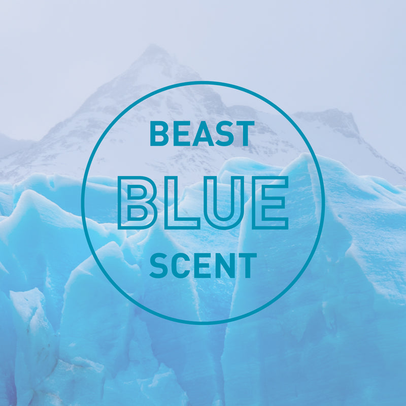 Beast Blue Scent Light Scrub Bar Soap